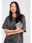 Anekke kis pénztárca Evolúció